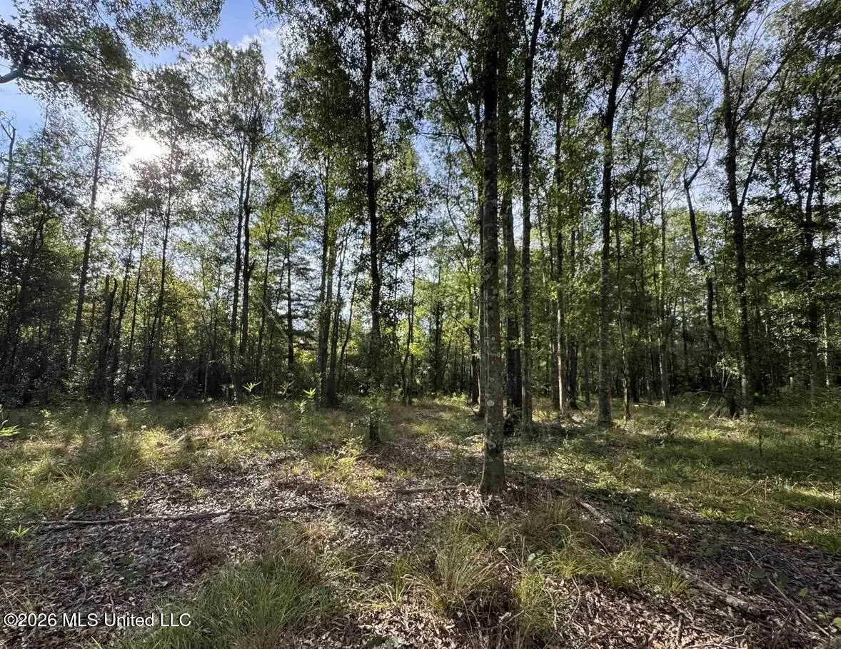 0 Old Highway 16, Canton, MS 39046 - #1