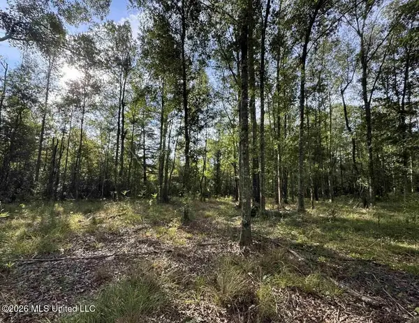 0 Old Highway 16, Canton, MS 39046