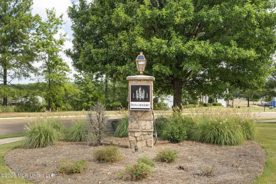 447 Olive Branch Way, Oxford, MS 38655 - #2