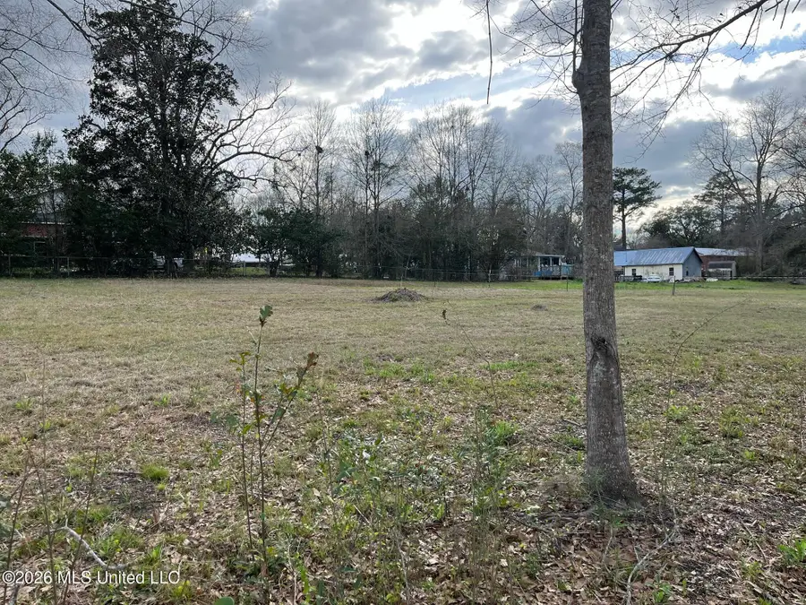 800 Elm Avenue, Richton, MS 39476 - #3