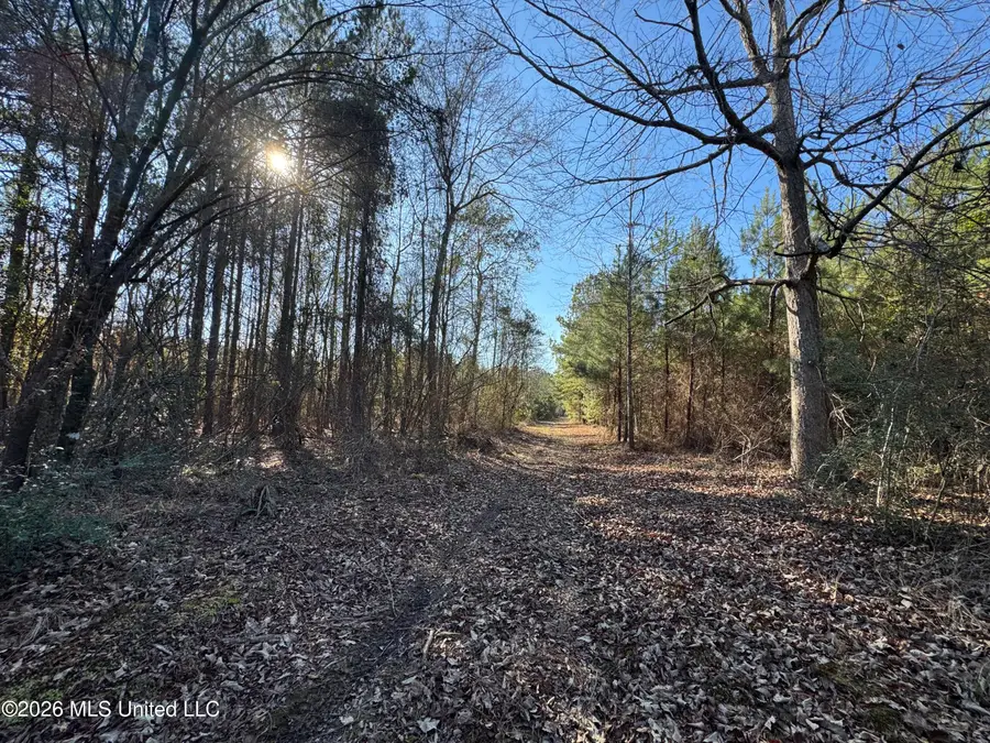 254 Mississippi 27, Tylertown, MS 39667 - #2