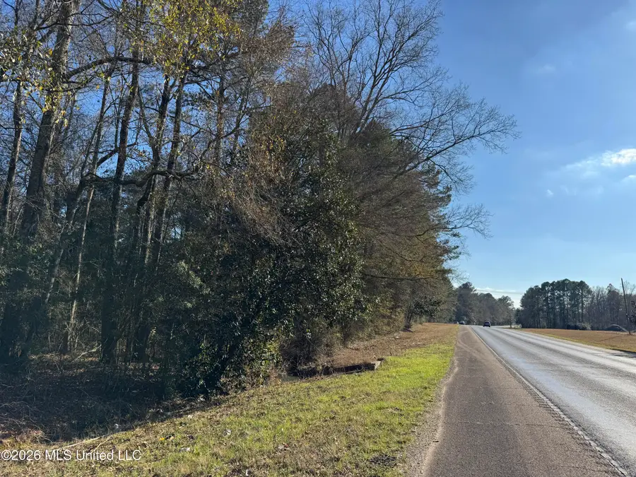 254 Mississippi 27, Tylertown, MS 39667 - #3