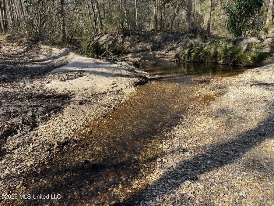 29 Sontag-nola Road, Sontag, MS 39665 - #3