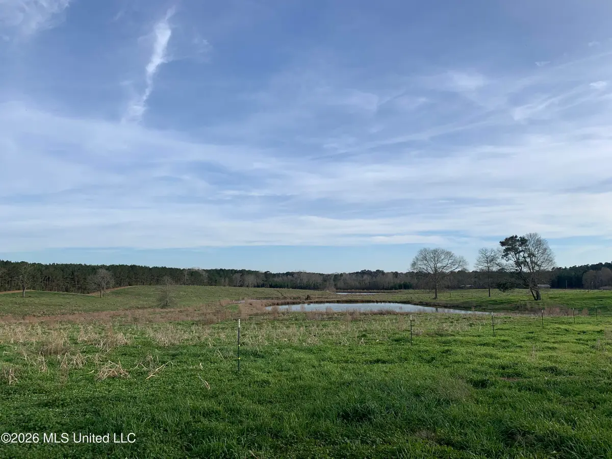 79 Adron Boyd Road, Tylertown, MS 39667 - #1