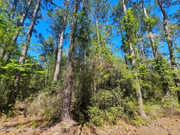 Nhn E Carroll Street, Bay Saint Louis, MS 39521