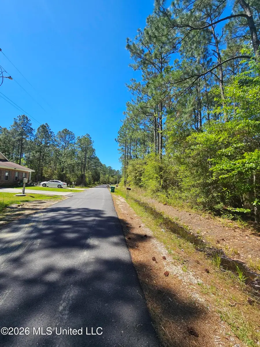 Nhn E Carroll Street, Bay Saint Louis, MS 39521 - #3