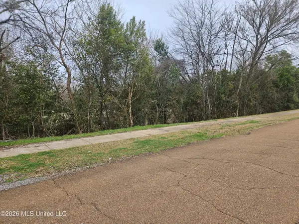 309 Bob D Williams Lane, Natchez, MS 39120