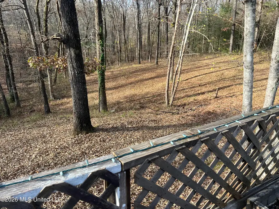 176 Dogwood Circle, Sardis, MS 38666 - #3