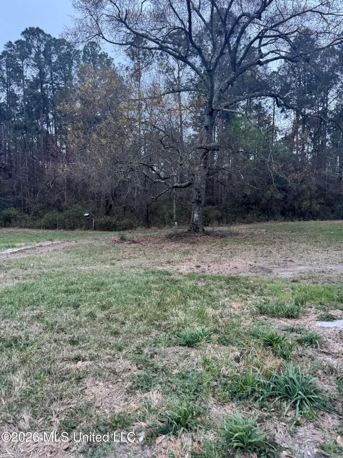 Deidra Court, Gulfport, MS 39503 - #1