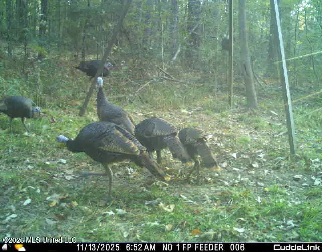 2738 County Farm Road A D, Liberty, MS 39645 - #3