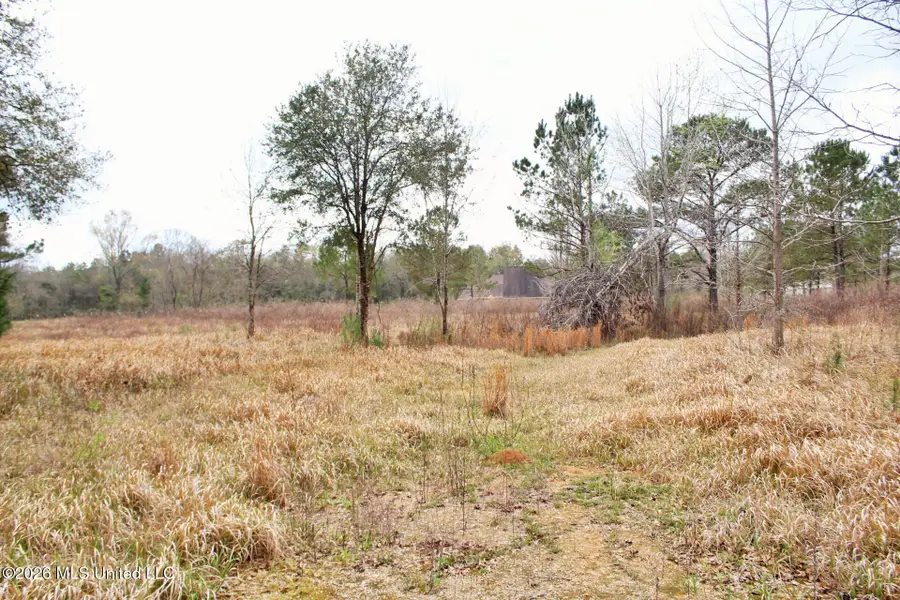 4.63ac White Road, Lucedale, MS 39452 - #2