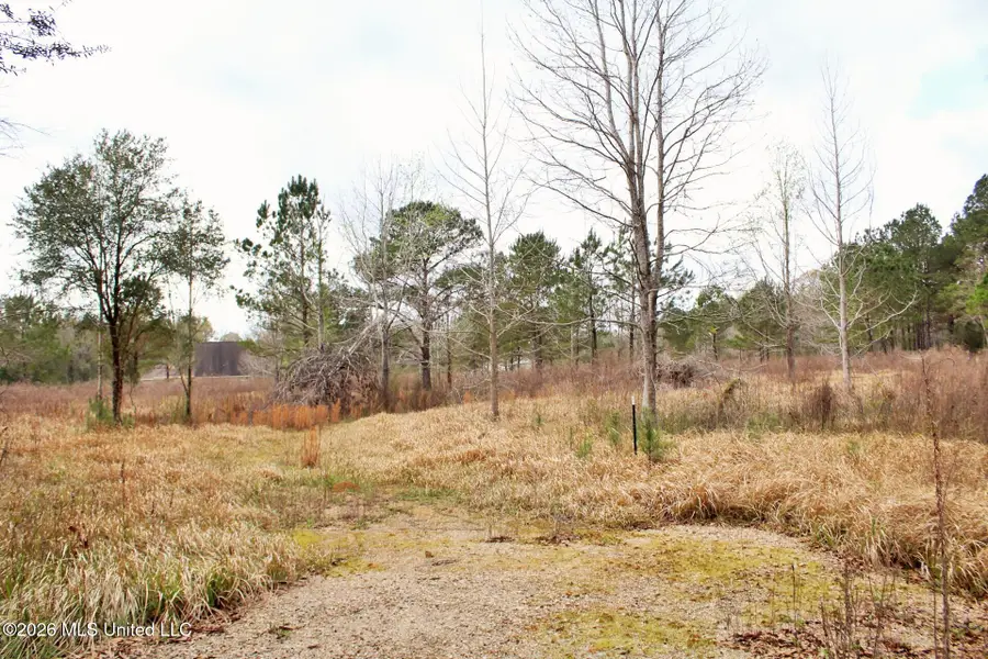4.63ac White Road, Lucedale, MS 39452 - #3
