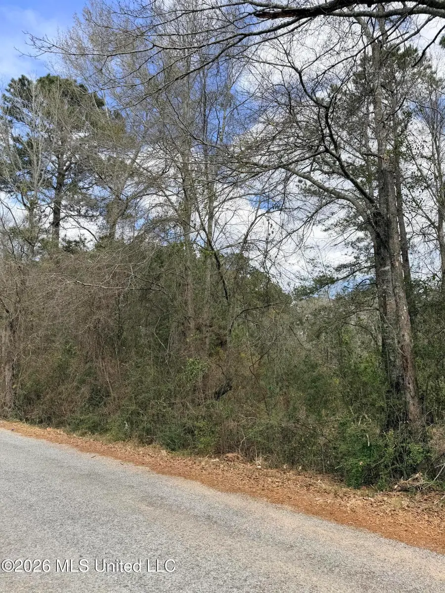 Tbd Joel Lang Road, McComb, MS 39648 - #2