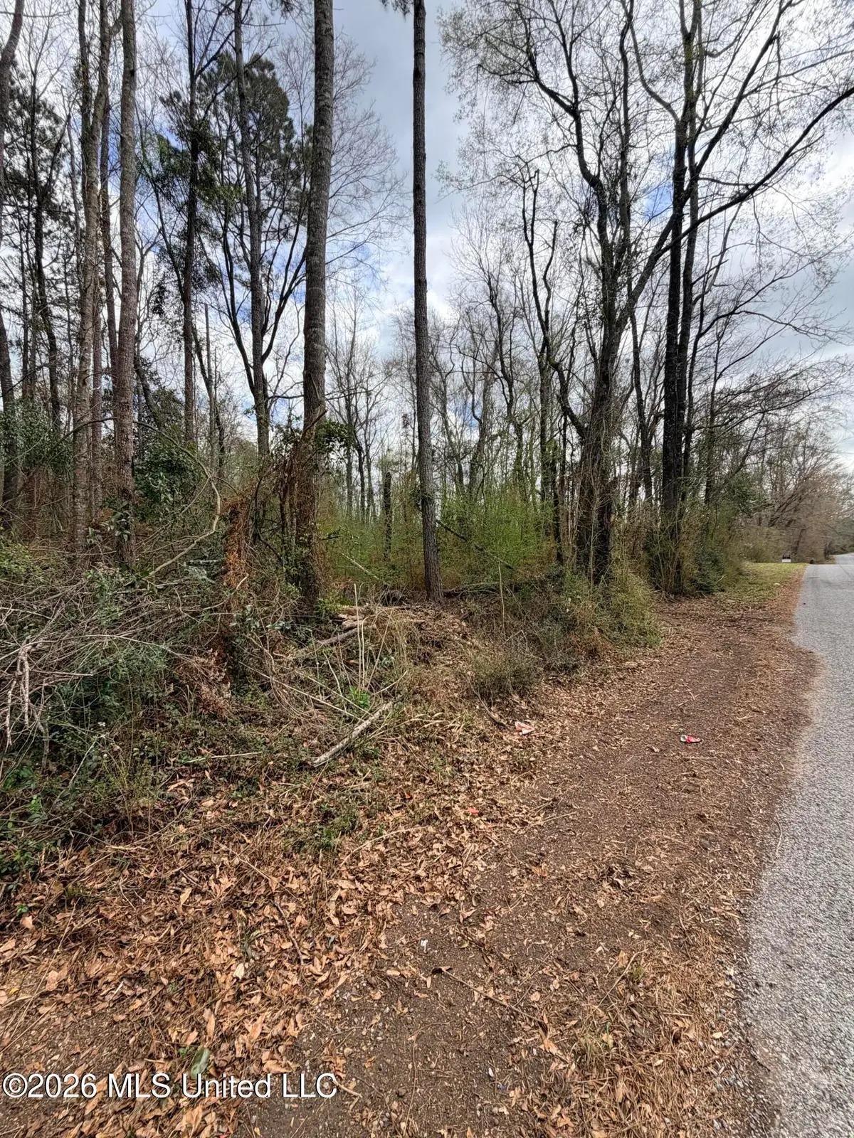 03 Gibson Road, McComb, MS 39648 - #1