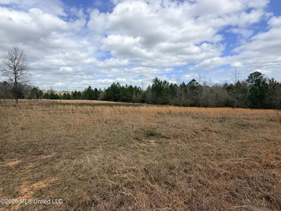 01 Gibson Road, McComb, MS 39648 - #2