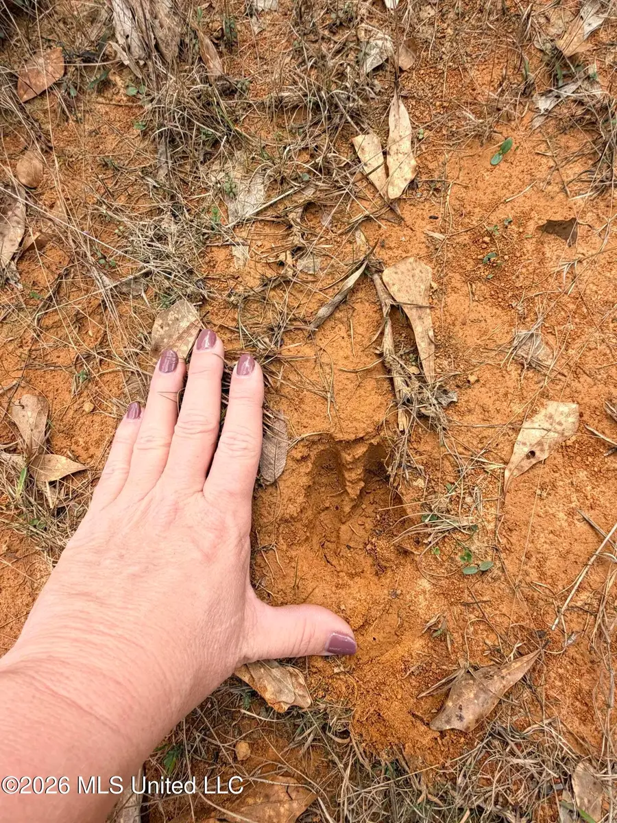 01 Gibson Road, McComb, MS 39648 - #3