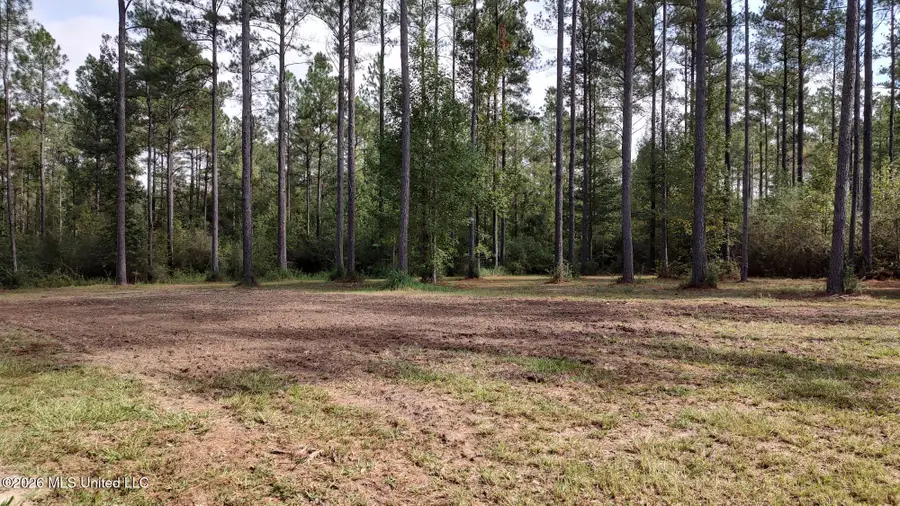 5279 Highway 13, Lumberton, MS 39455 - #2