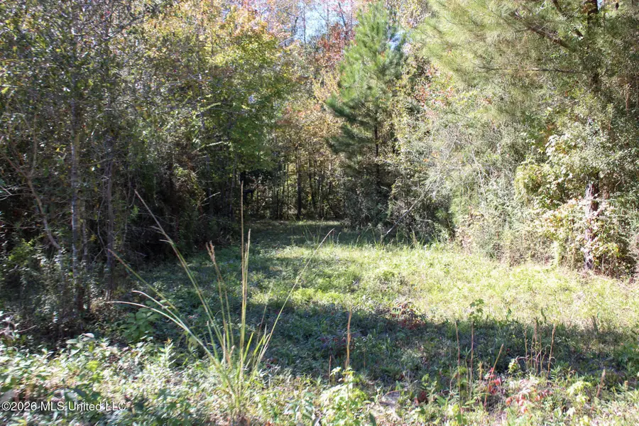 02 Gibson Road, McComb, MS 39648 - #3