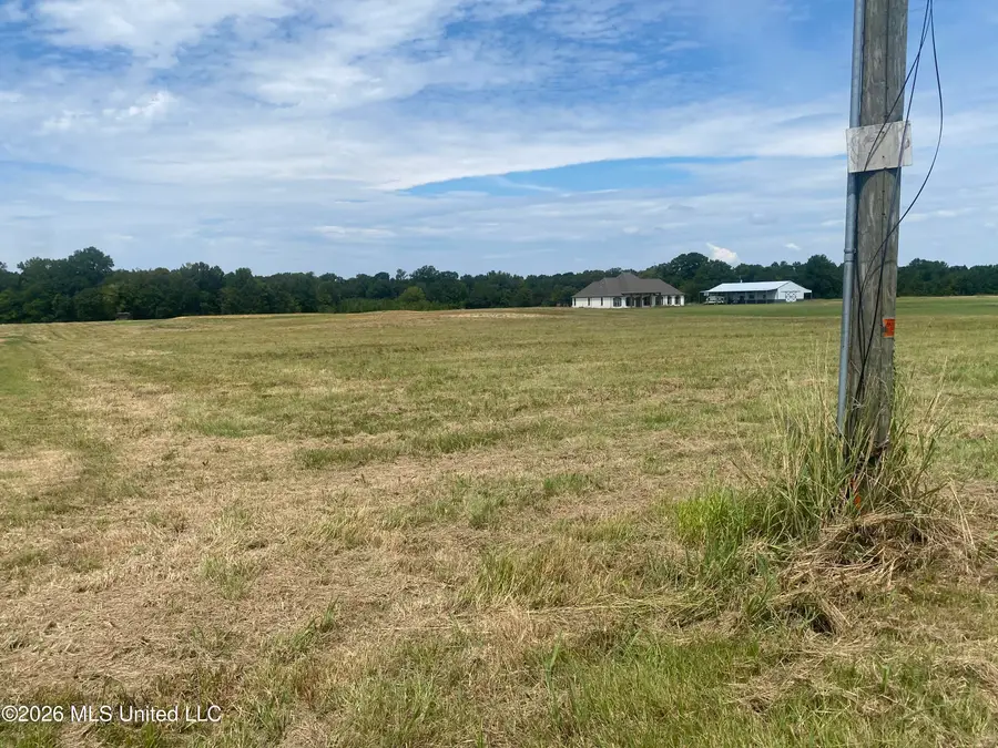 Leesburg Road, Pelahatchie, MS 39145 - #2