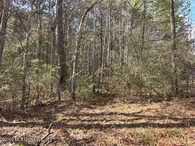 W Hwy 26, Poplarville, MS 39470 - #2