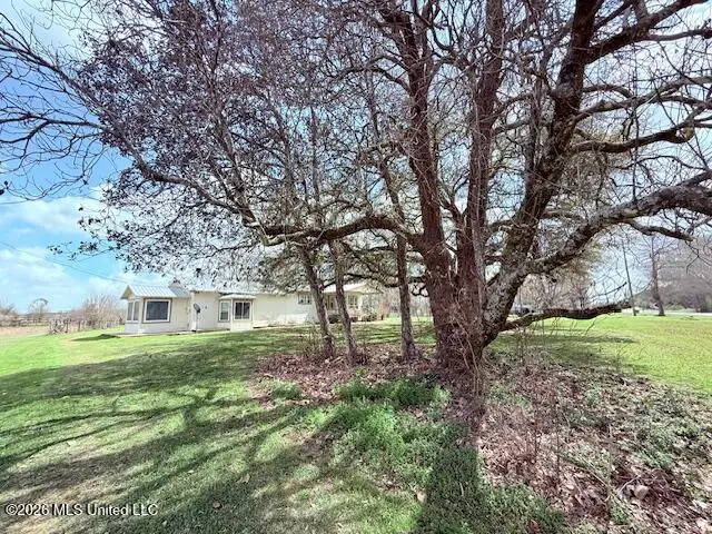 597 Highway 583, Tylertown, MS 39667 - #2