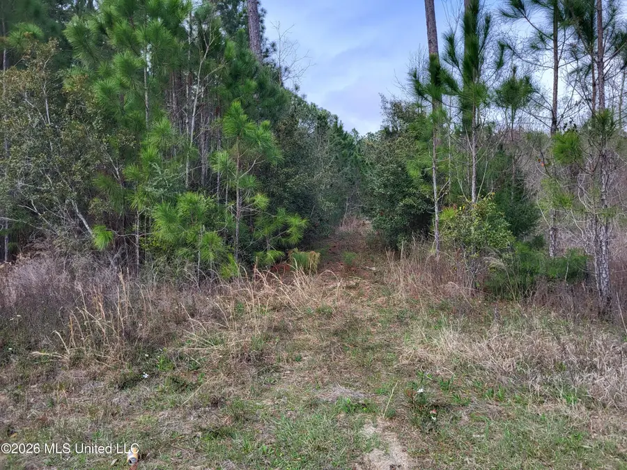 0 Jones Road, Pass Christian, MS 39571 - #3