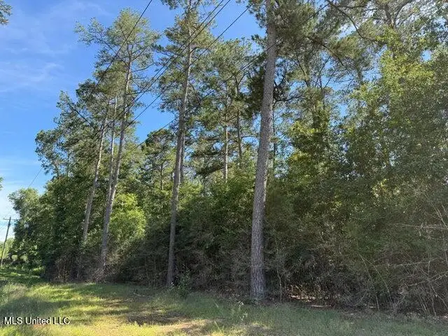 2 Acres Hwy 49, Collins, MS 39428 - #1