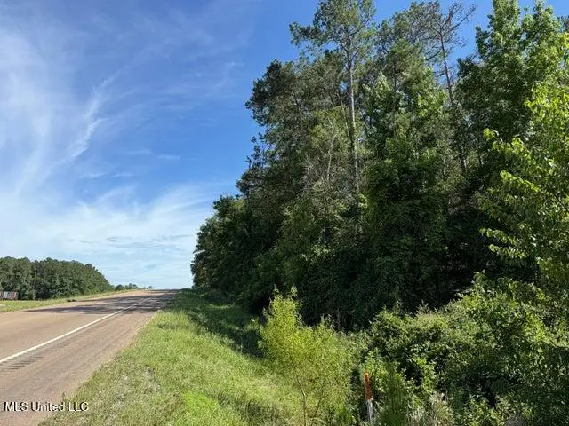 2 Acres Hwy 49, Collins, MS 39428 - #2