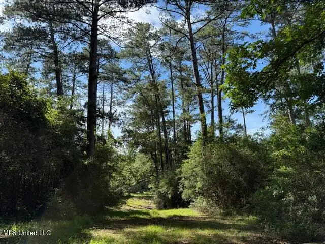 2 Acres Hwy 49, Collins, MS 39428 - #3