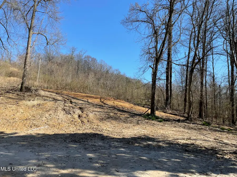 15944 Brownsferry Road, Sarah, MS 38665 - #3