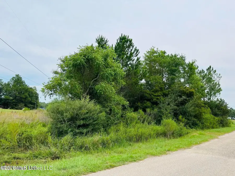 19092 W Clairmonte Street, Saucier, MS 39574 - #3