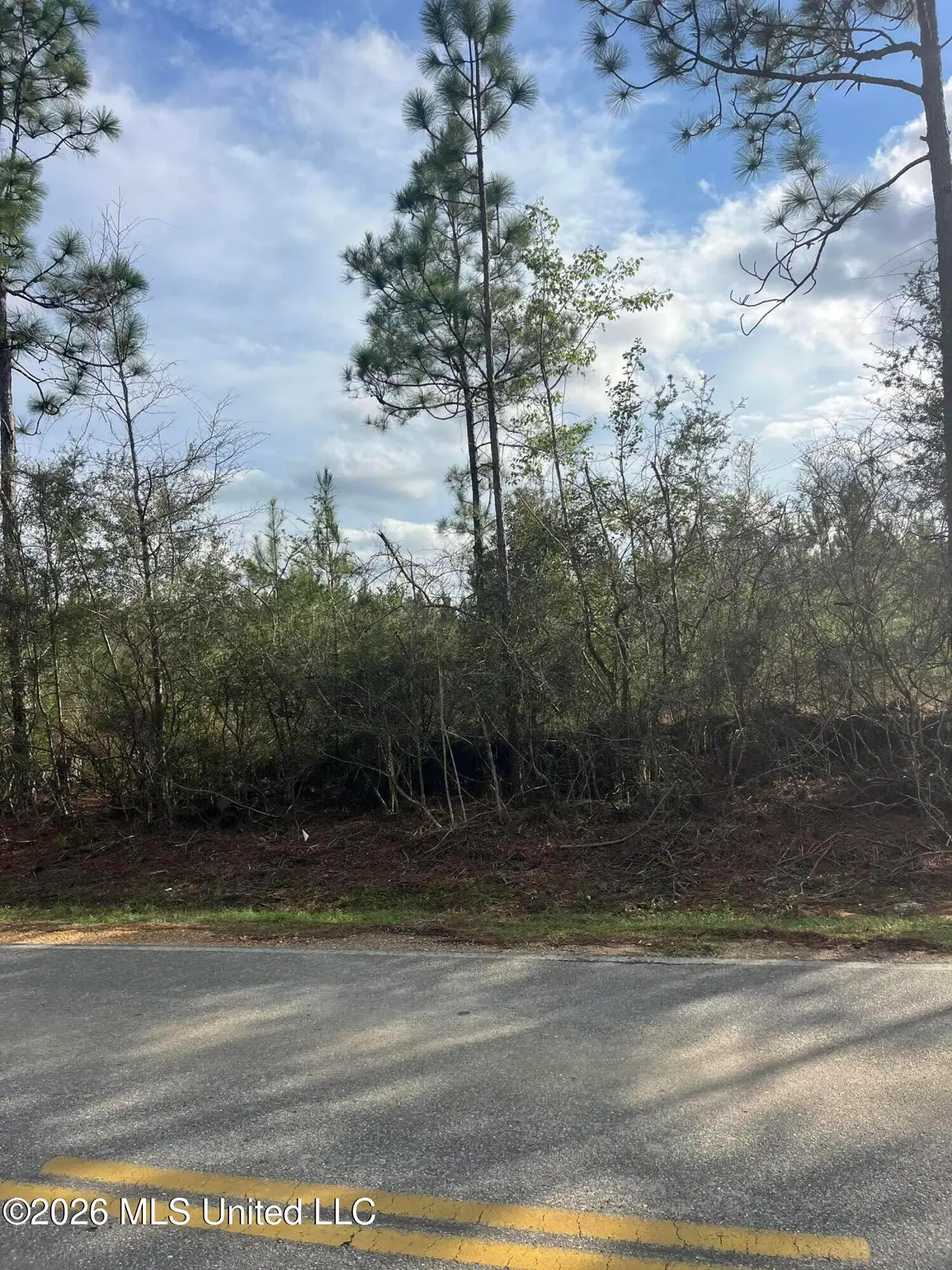 W Wortham Road, Saucier, MS 39574 - #1