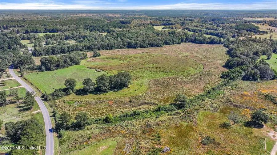 Dry Creek Road, Magee, MS 39111 - #2