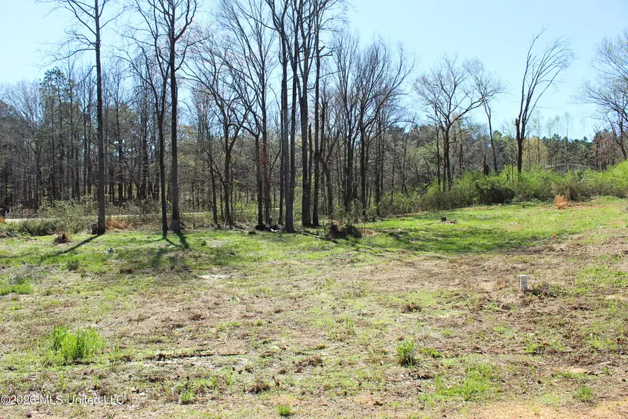 205 Morning Sun Drive, Byhalia, MS 38611 - #3