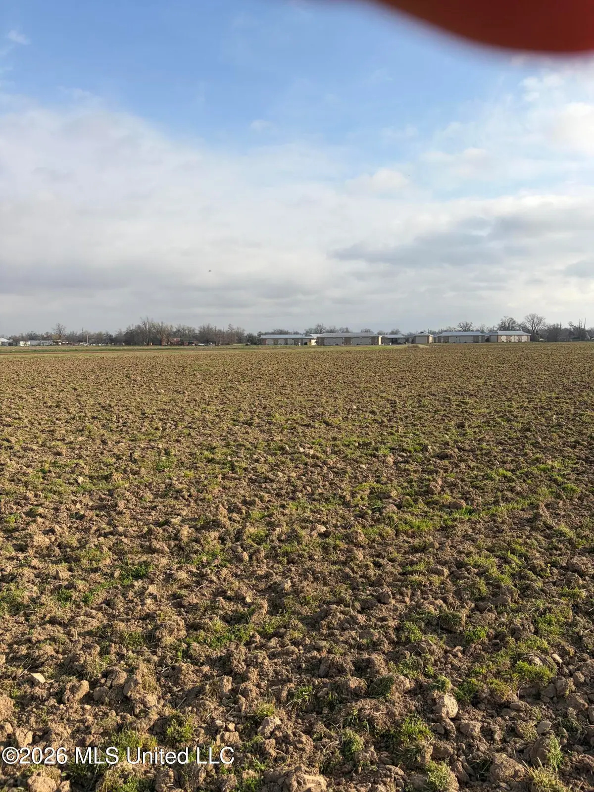 Cypress Avenue, Greenwood, MS 38930 - #1