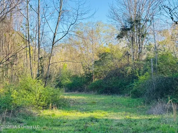 8525 State Boulevard, Meridian, MS 39305