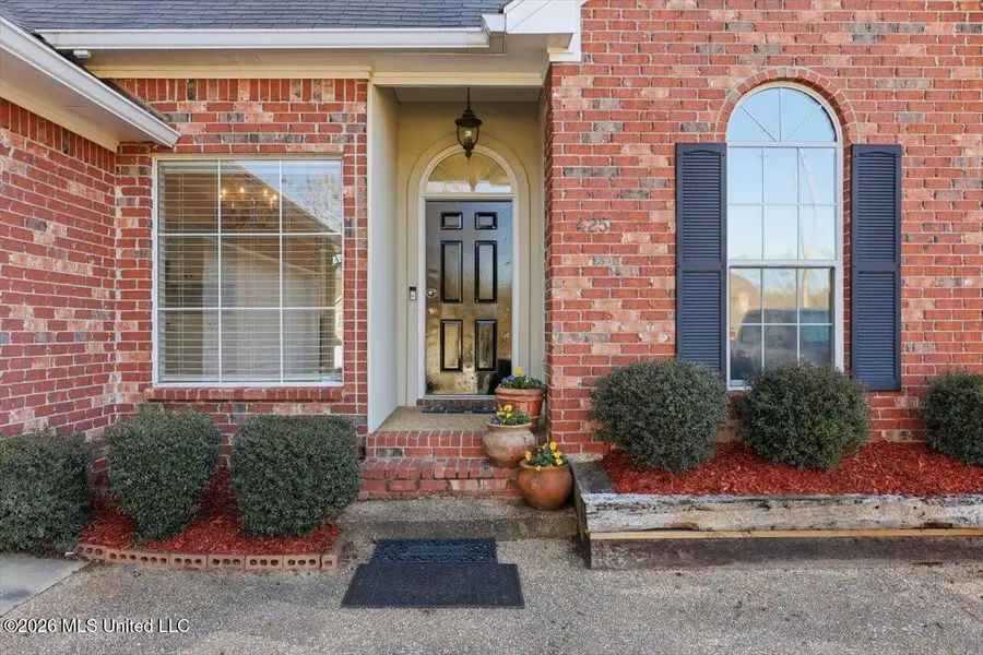 425 Patrick Farms, Pearl, MS 39208 - #3