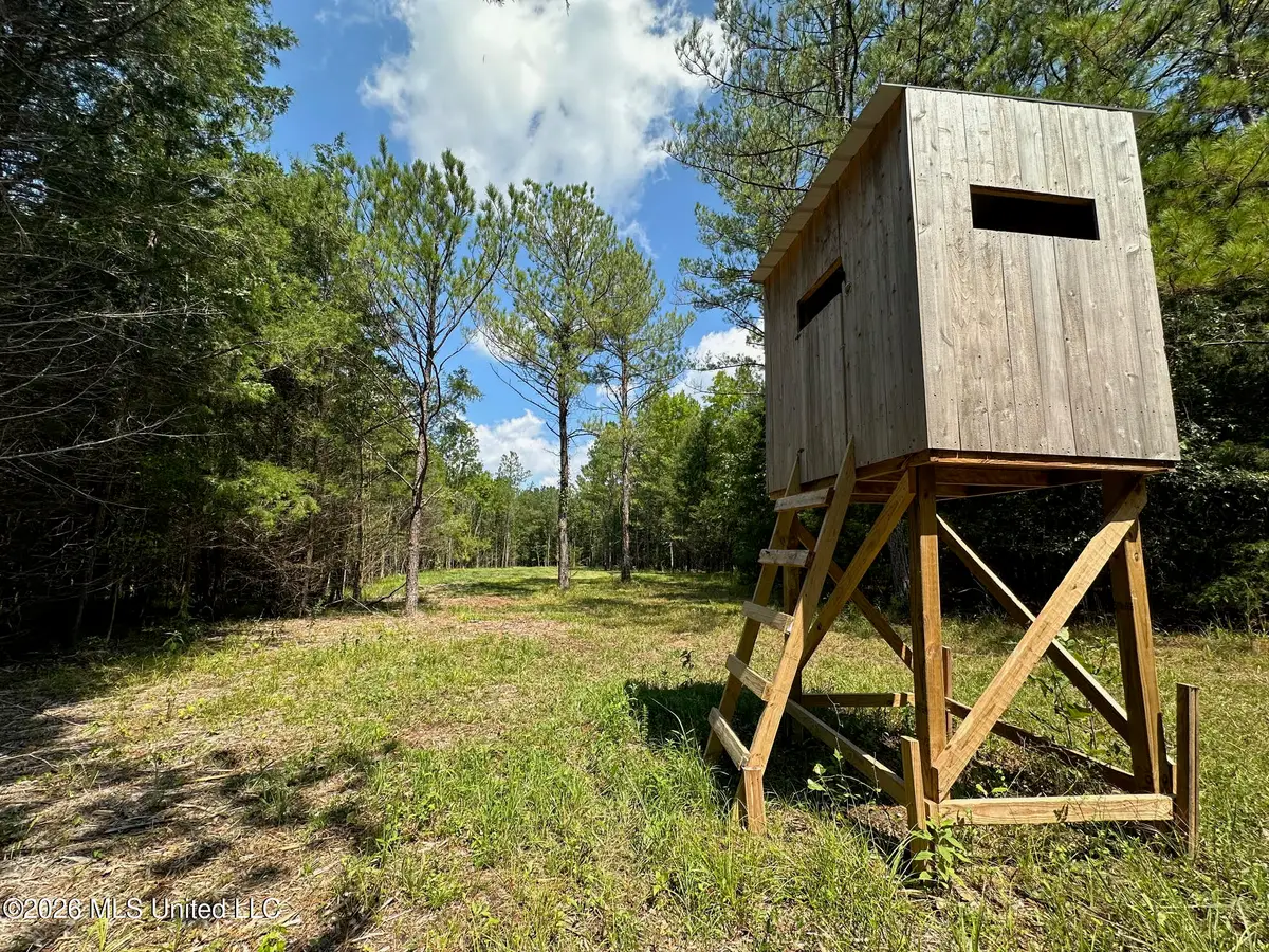 5 Forest Service Road 562, Pulaski, MS 39152 - #1