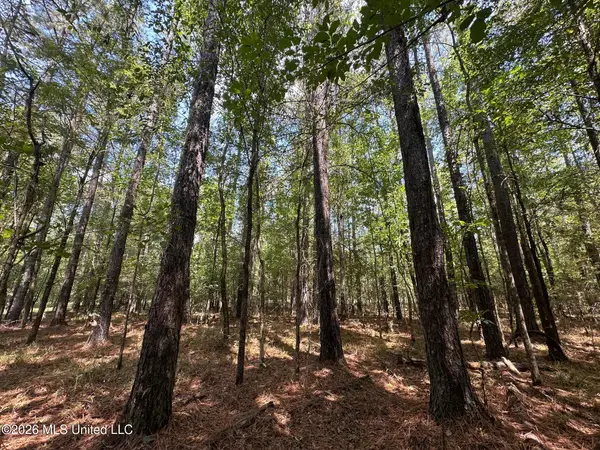 7 Forest Service Road 562, Pulaski, MS 39152