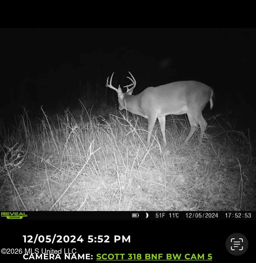 7 Forest Service Road 562, Pulaski, MS 39152 - #2