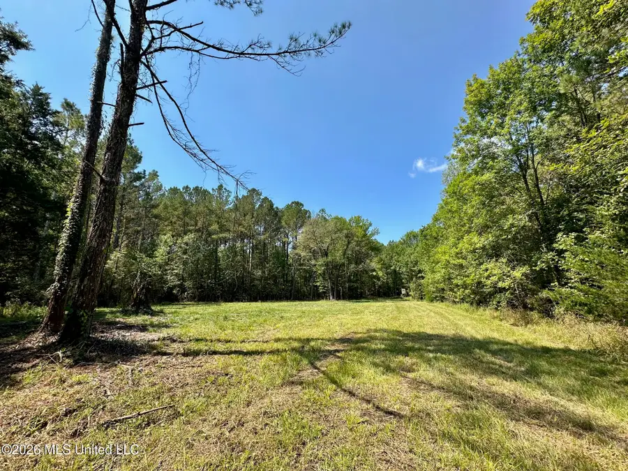 7 Forest Service Road 562, Pulaski, MS 39152 - #3