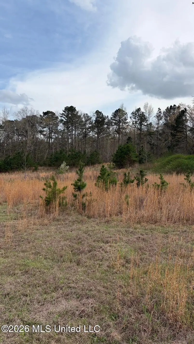 0 N Hwy 43, Pelahatchie, MS 39145 - #3