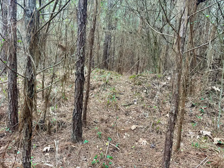 NW Bouie Mill Road, Brookhaven, MS 39601 - #2