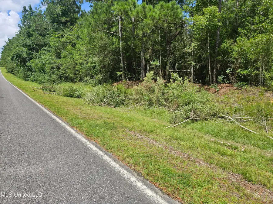 23150 Tally Shaw Road, Perkinston, MS 39573 - #2