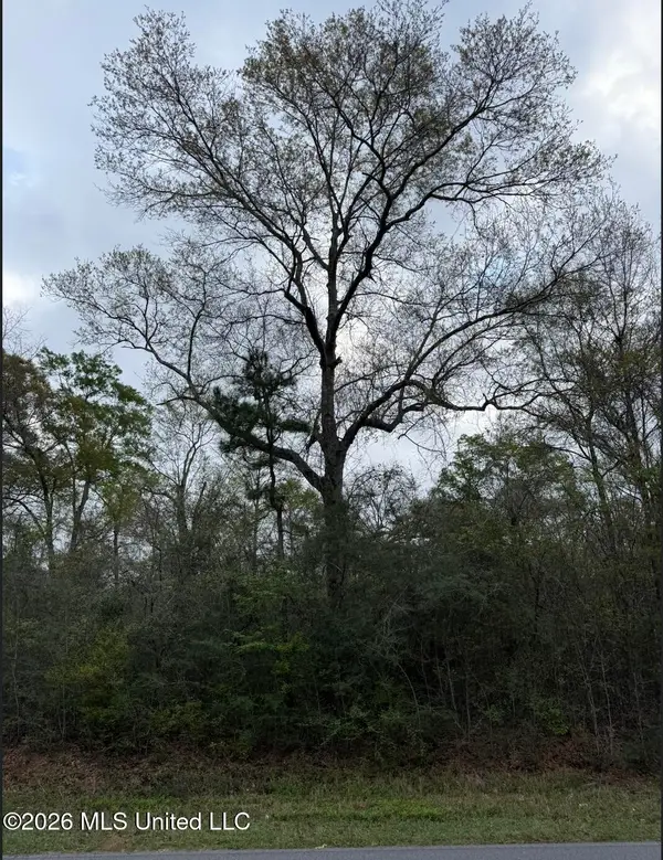 Lot 10 Northrup Cuevas Road, Gulfport, MS 39503