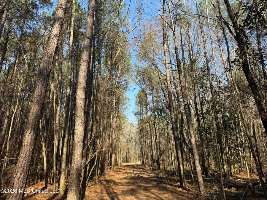 Railroad Lane, Pinola, MS 39149 - #3