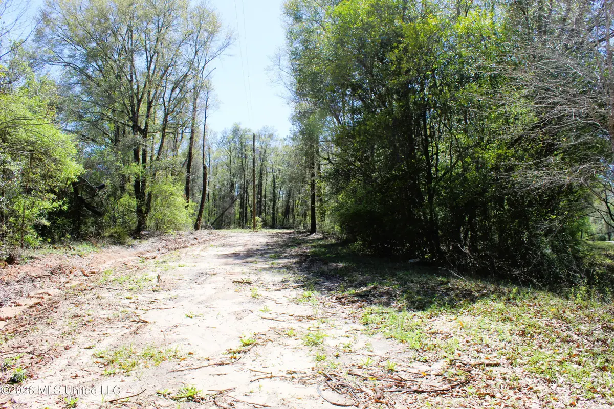1.7 Acres Oakhaven Drive, Lucedale, MS 39452 - #1