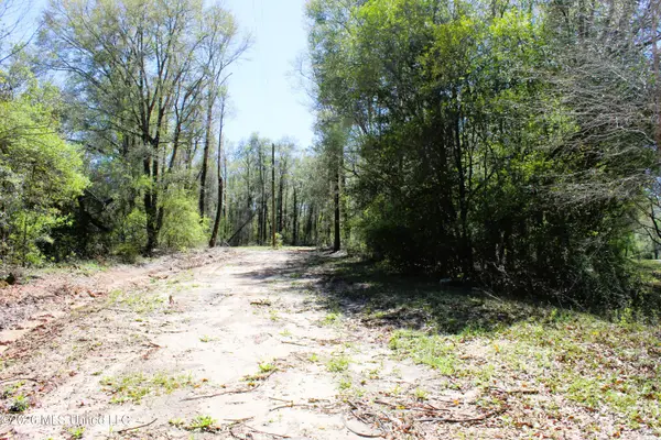 1.7 Acres Oakhaven Drive, Lucedale, MS 39452