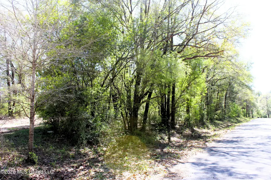 1.7 Acres Oakhaven Drive, Lucedale, MS 39452 - #2