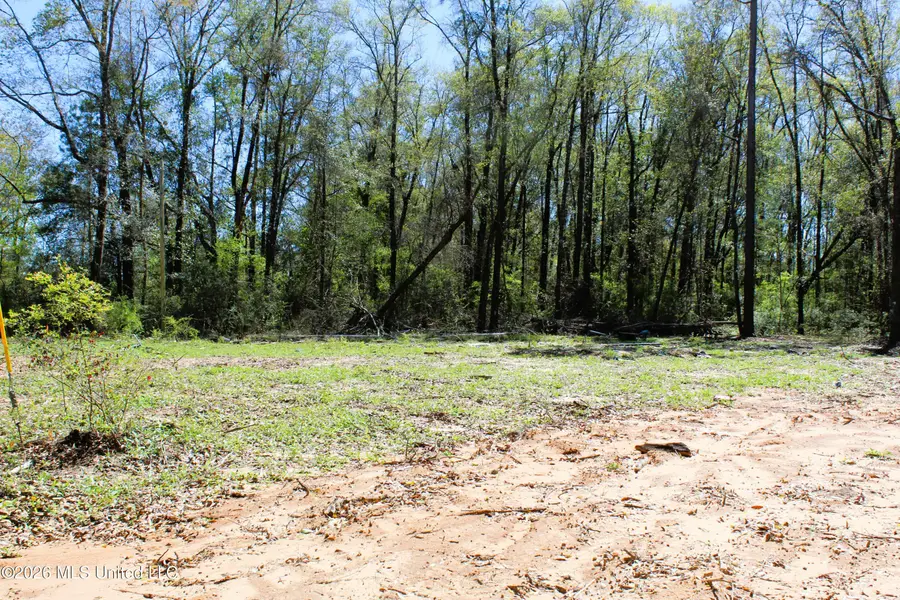 1.7 Acres Oakhaven Drive, Lucedale, MS 39452 - #3